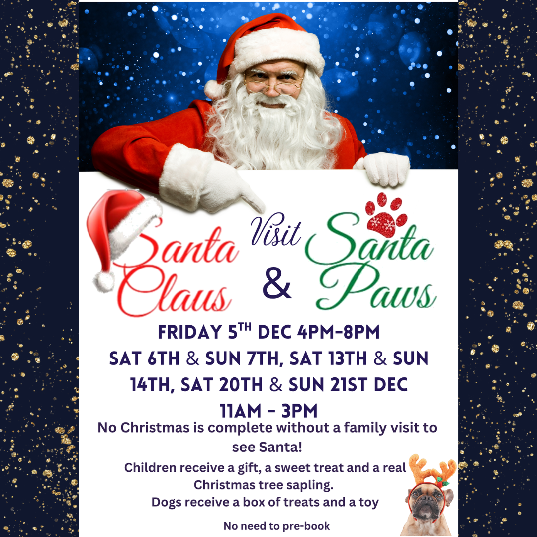 Santa instagram Santas Grotto Skegness
