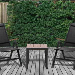 Valencia reclining companion set